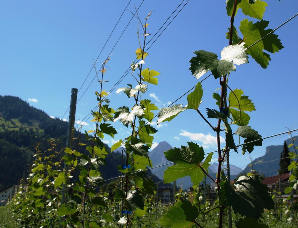 Gielerhof Lejlighed Zell am Ziller Eksteriør billede